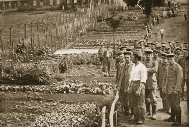 El Huerto, Eastcote, ilustración de Prisioneros Alemanes en Gran Bretaña